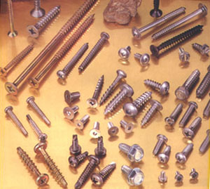 Screw and Fastener